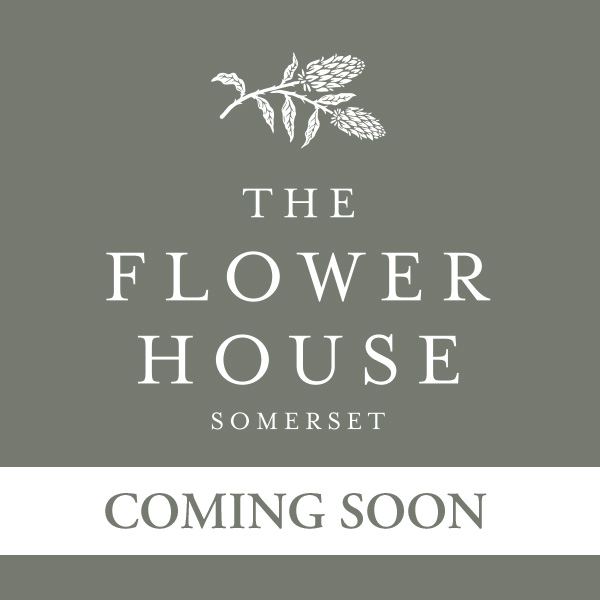 The-flower-house-somerset-logo-coming-soon